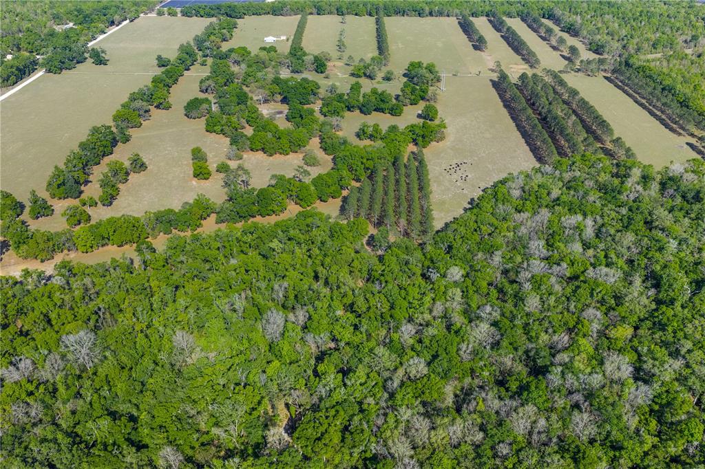 4639 Southwest Wilson Springs Road Fort White, FL 32038 - Photo 60 of 76