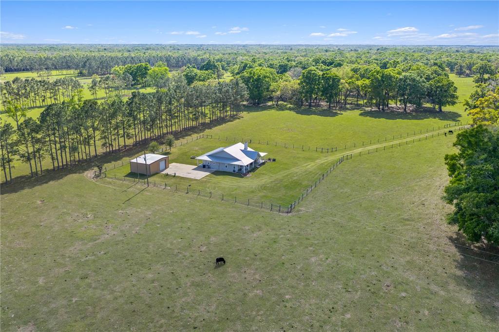 4639 Southwest Wilson Springs Road Fort White, FL 32038 - Photo 61 of 76