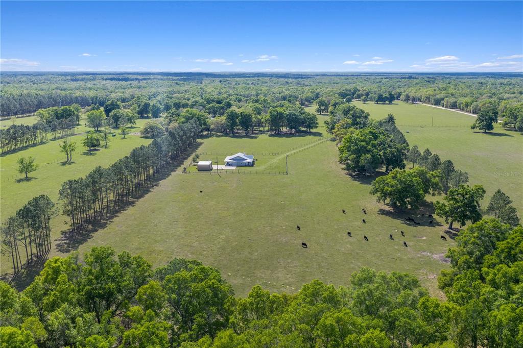 4639 Southwest Wilson Springs Road Fort White, FL 32038 - Photo 69 of 76