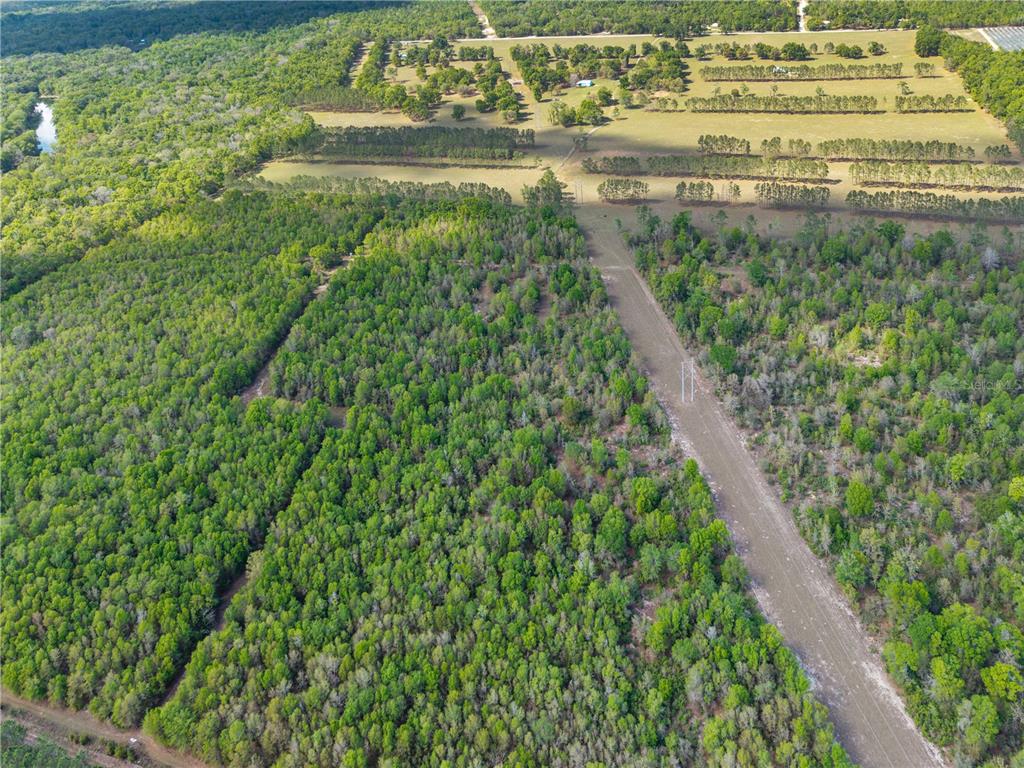 4639 Southwest Wilson Springs Road Fort White, FL 32038 - Photo 73 of 76