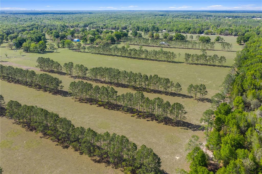 4639 Southwest Wilson Springs Road Fort White, FL 32038 - Photo 75 of 76 a view of a lake with a mountain