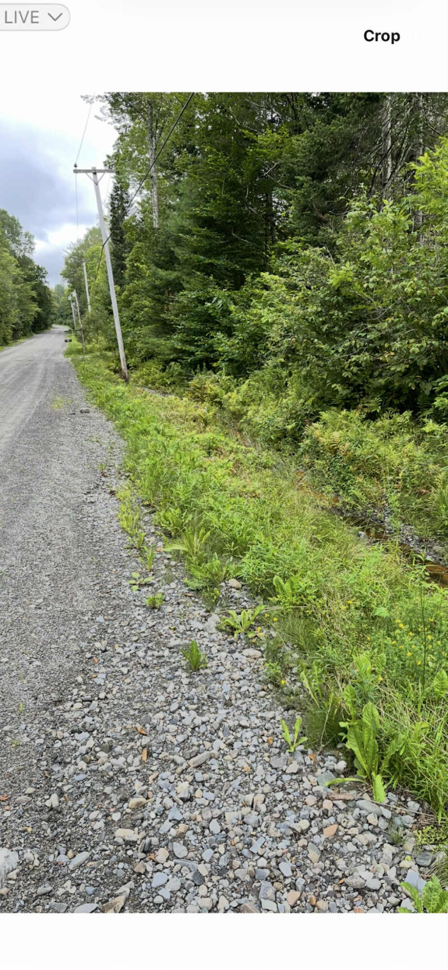 3 Ladd Road Sebec, ME 04481 - Photo 4 of 12