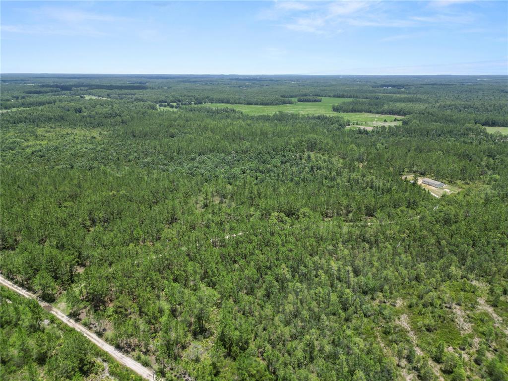 3450 Salyers Road Clermont, FL 34714 - Photo 41 of 50