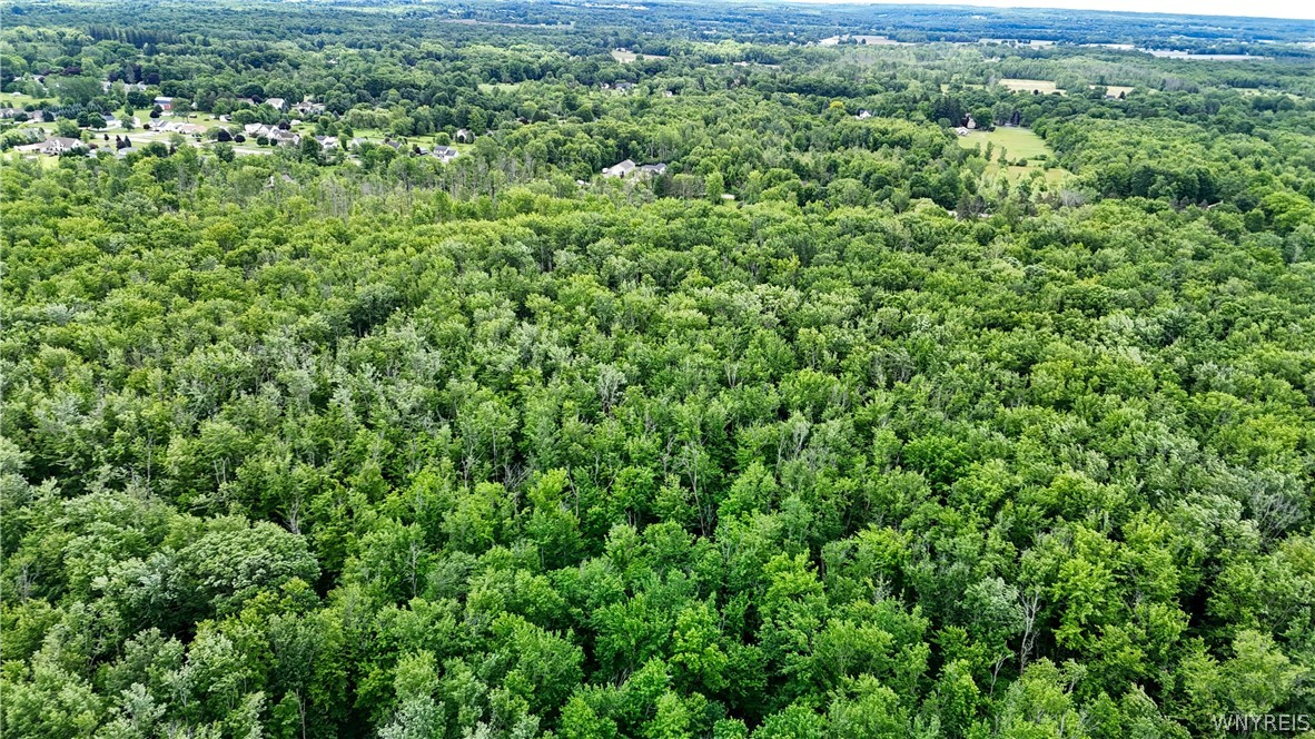 Lakeview Road Hamburg, NY 14075 - Photo 6 of 14