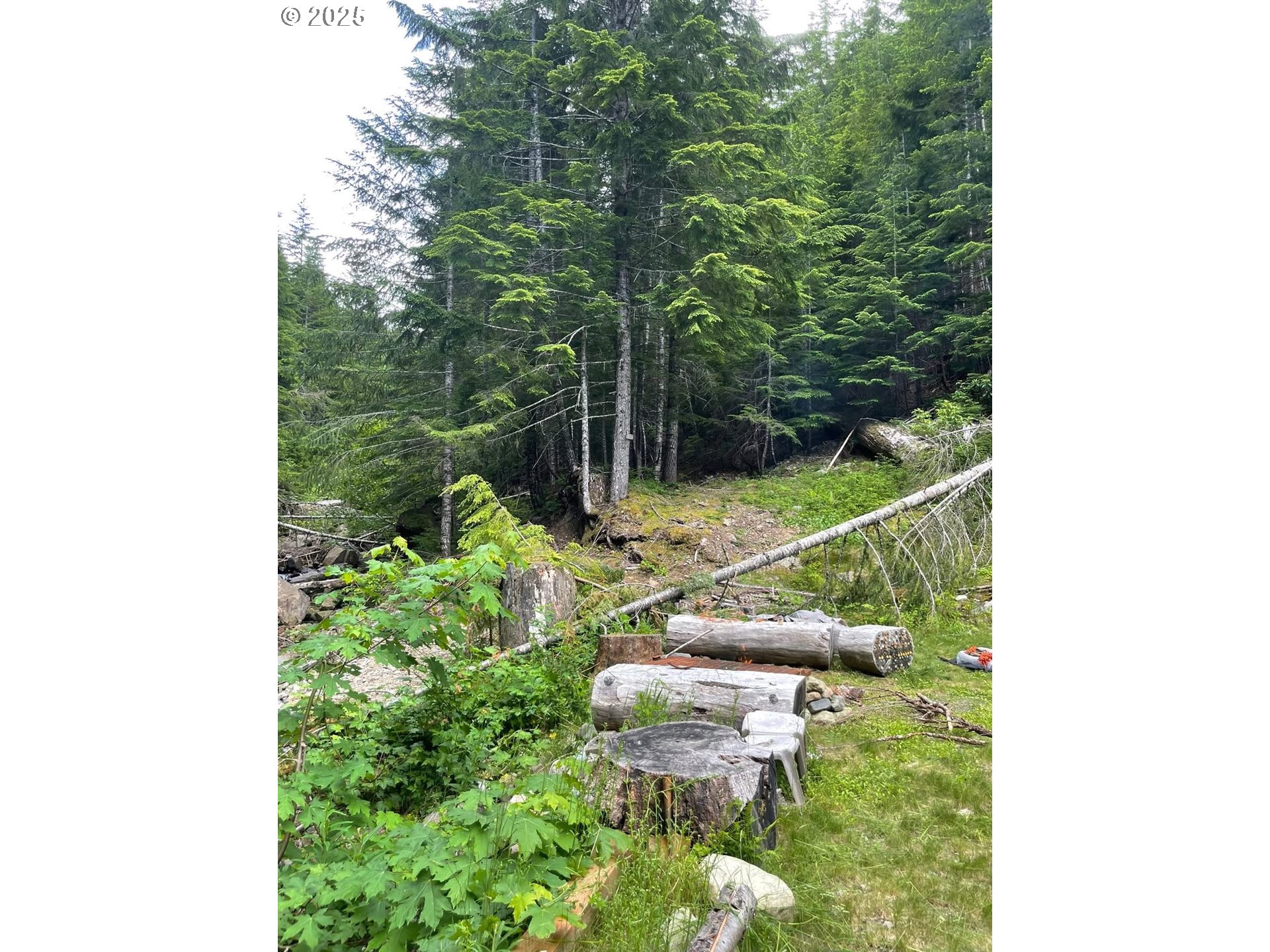 Champion Creek Road Dorena, OR 97434 - Photo 10 of 27