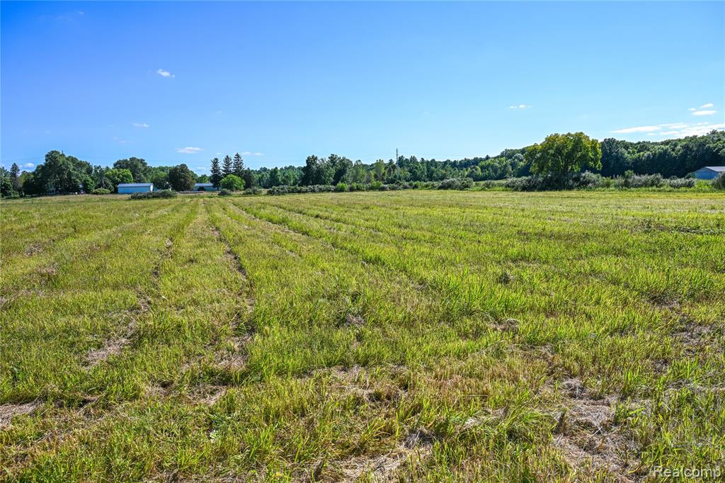 0 Wagner Road Imlay City, MI 48444 - Photo 24 of 43