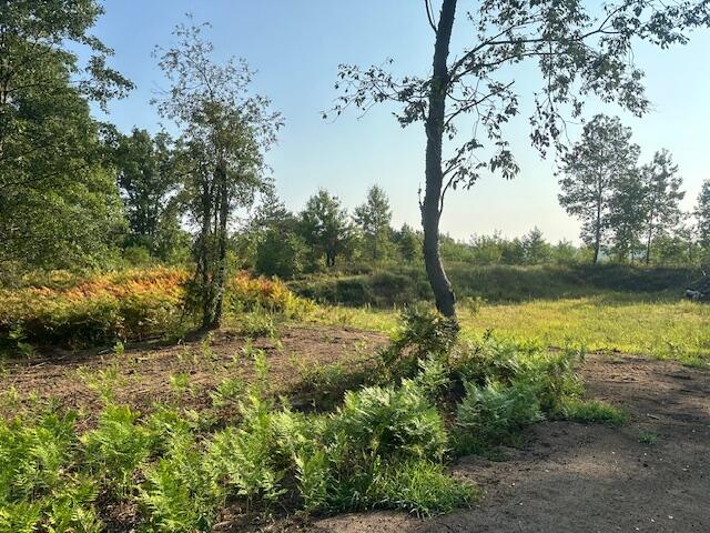 9114 Jones Road Howard City, MI 49329 - Photo 20 of 25 9114 jones out4