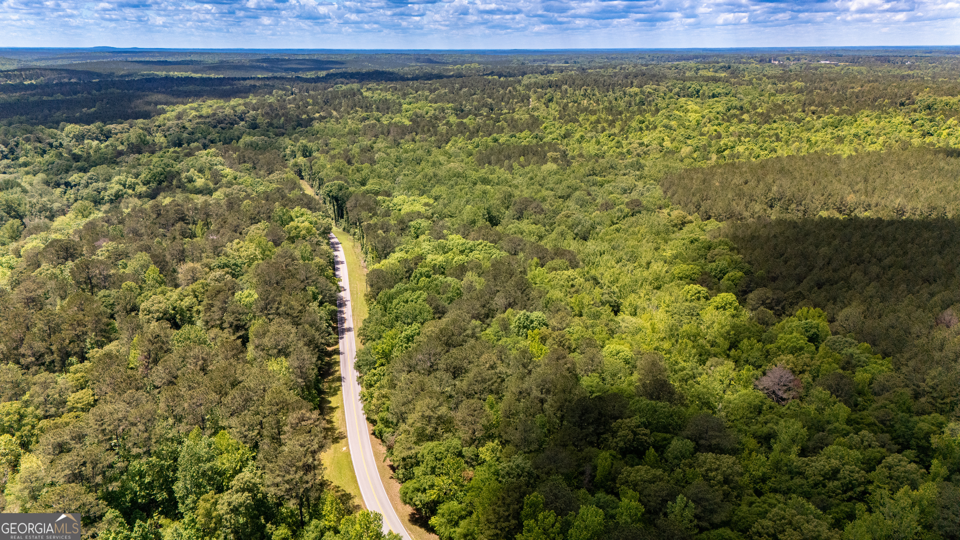 37.23 Acres / 0 Smokey Road LaGrange, GA 30241 - Photo 2 of 6 a view of a yard