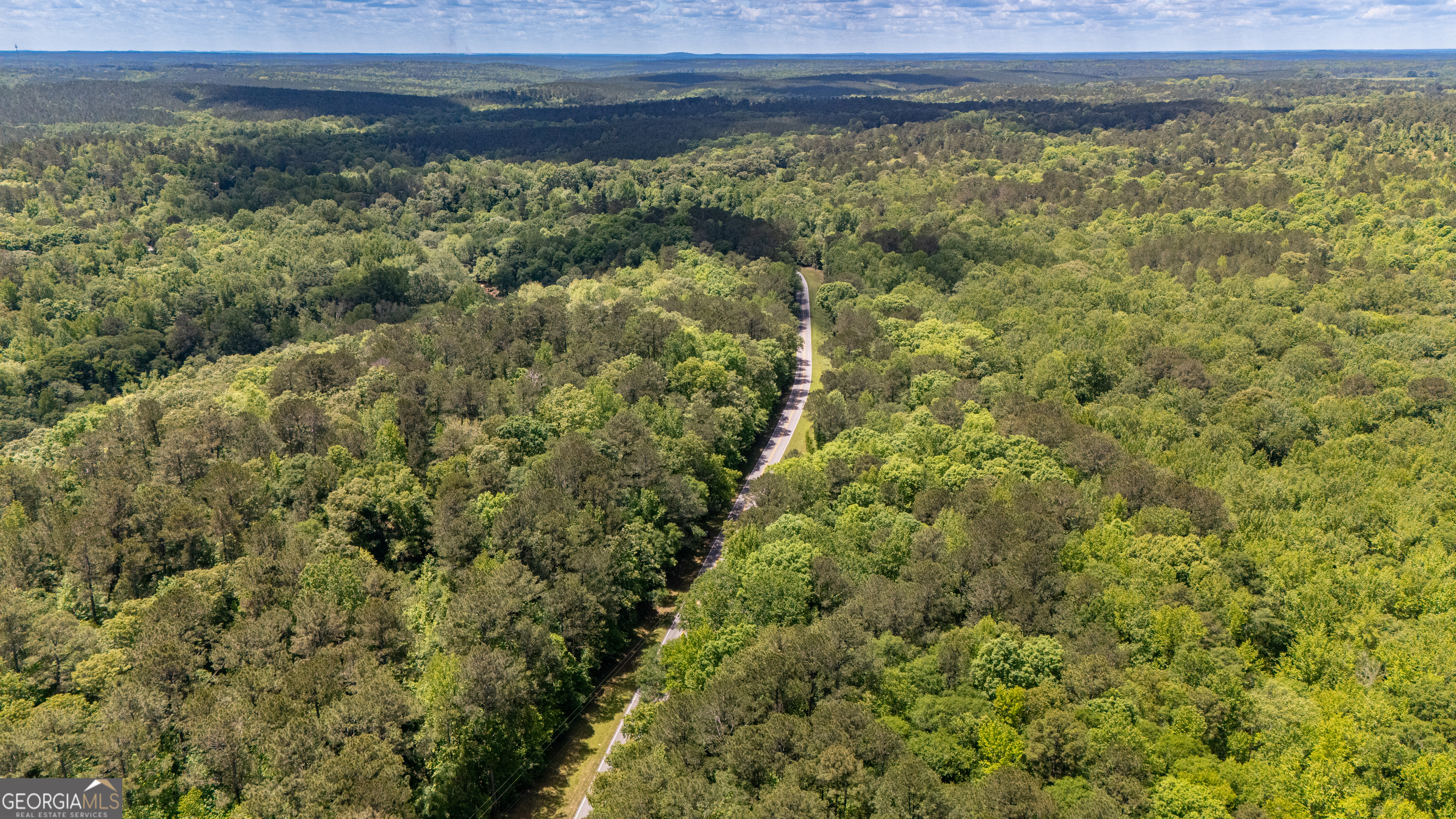 37.23 Acres / 0 Smokey Road LaGrange, GA 30241 - Photo 3 of 6 a view of a yard