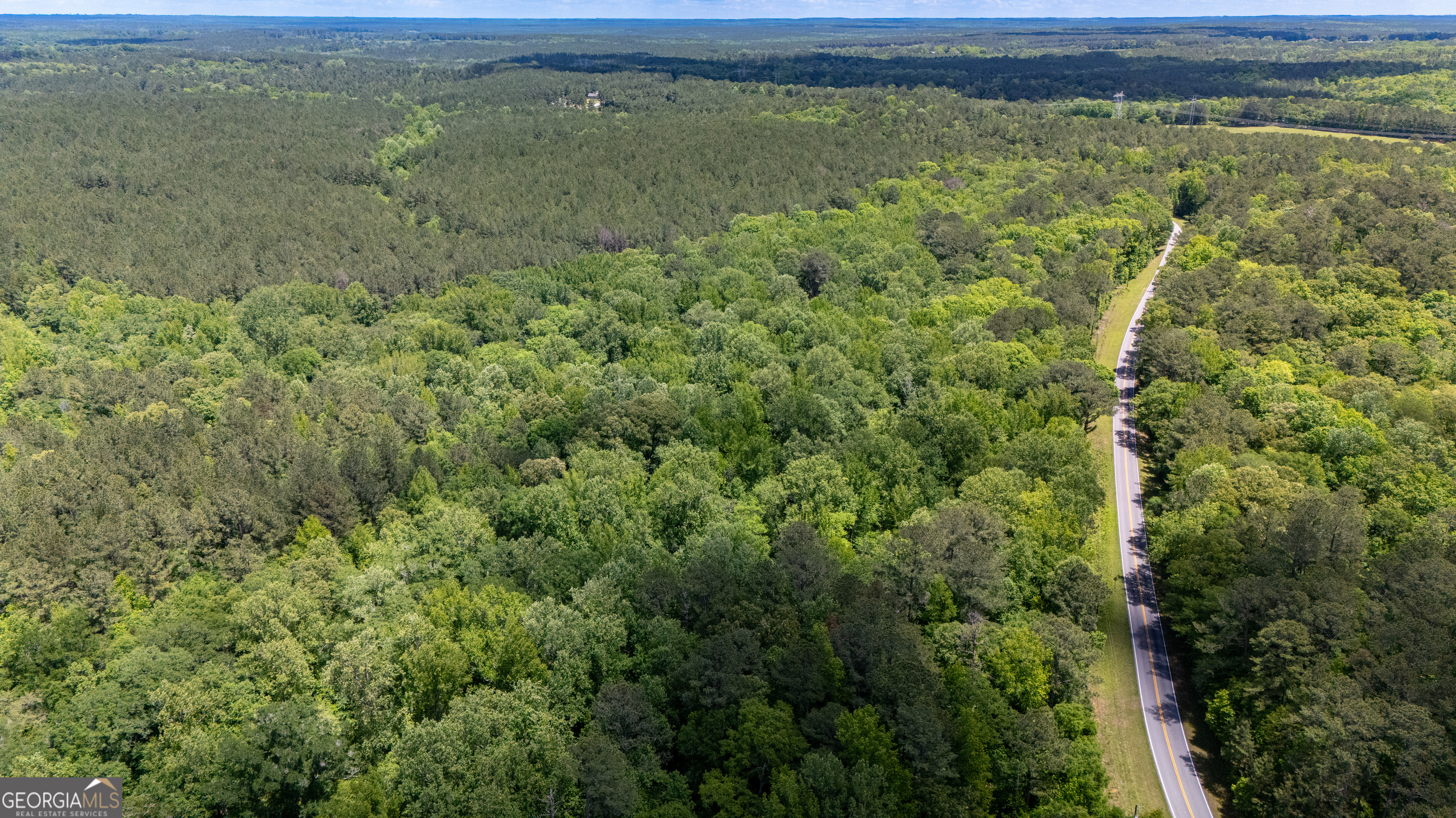 37.23 Acres / 0 Smokey Road LaGrange, GA 30241 - Photo 5 of 6 a view of a field with an ocean view