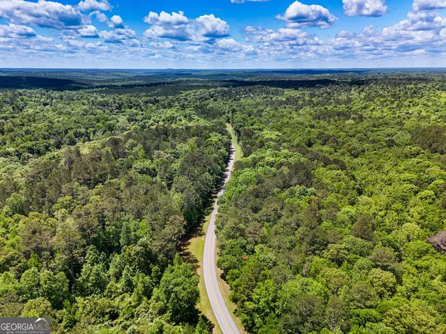 a view of a garden with a wooden fence