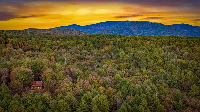 $2,800 | 212 Dogpatch Lane, Blue Ridge, GA 30513