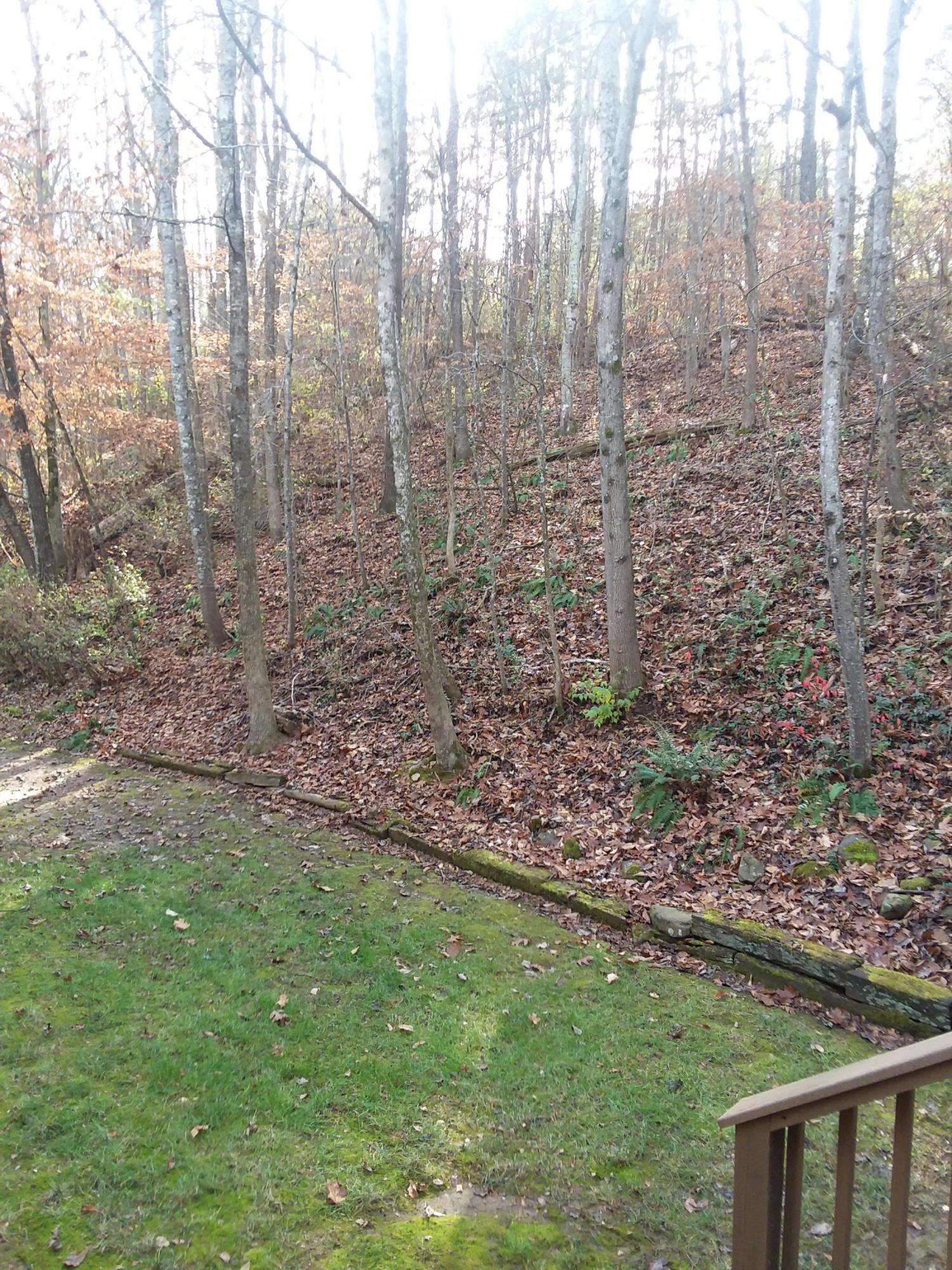 99 Chestnut Hill Road Oak Ridge, TN 37830 - Photo 22 of 27 Yard
