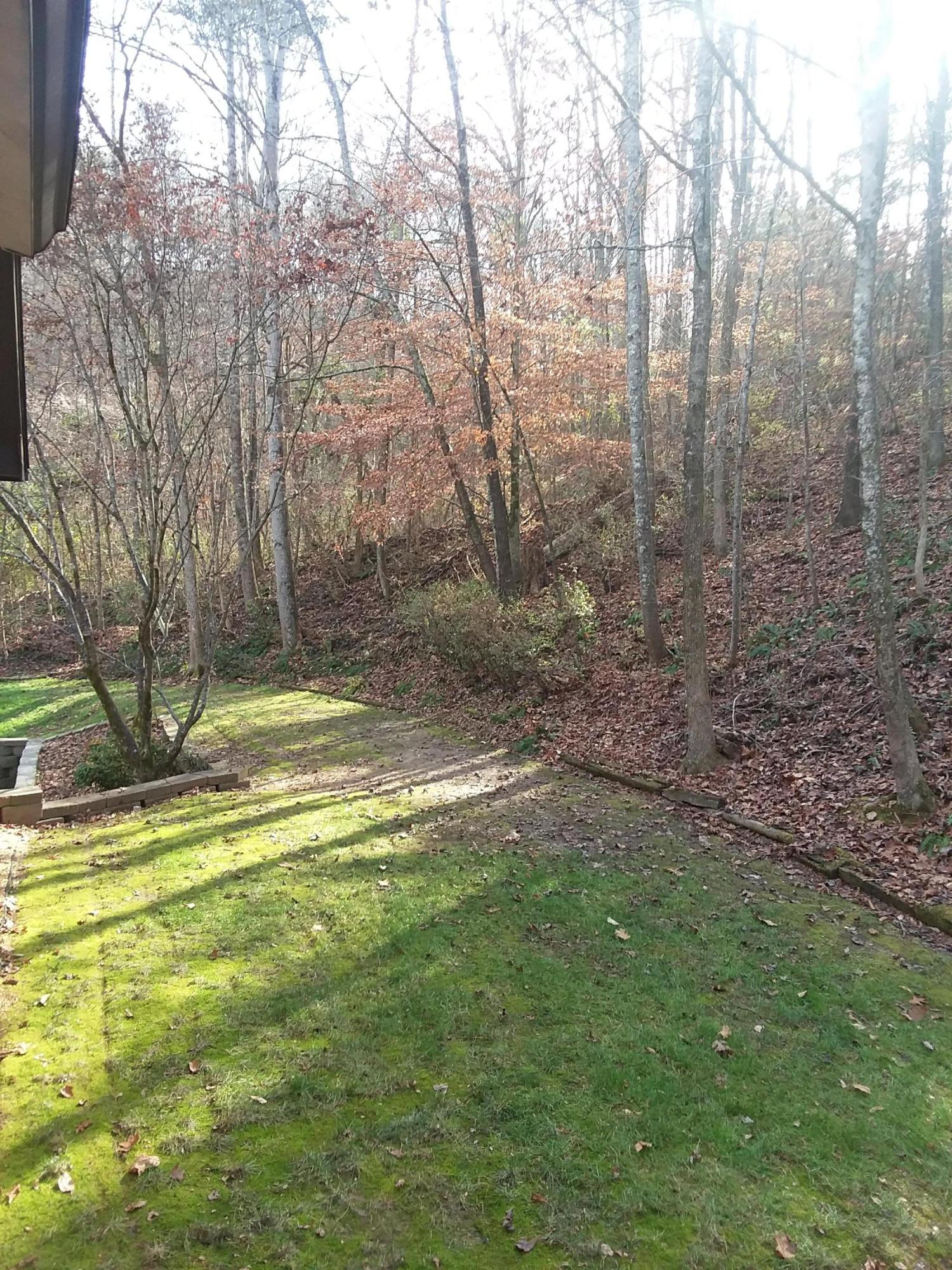 99 Chestnut Hill Road Oak Ridge, TN 37830 - Photo 23 of 27 Yard