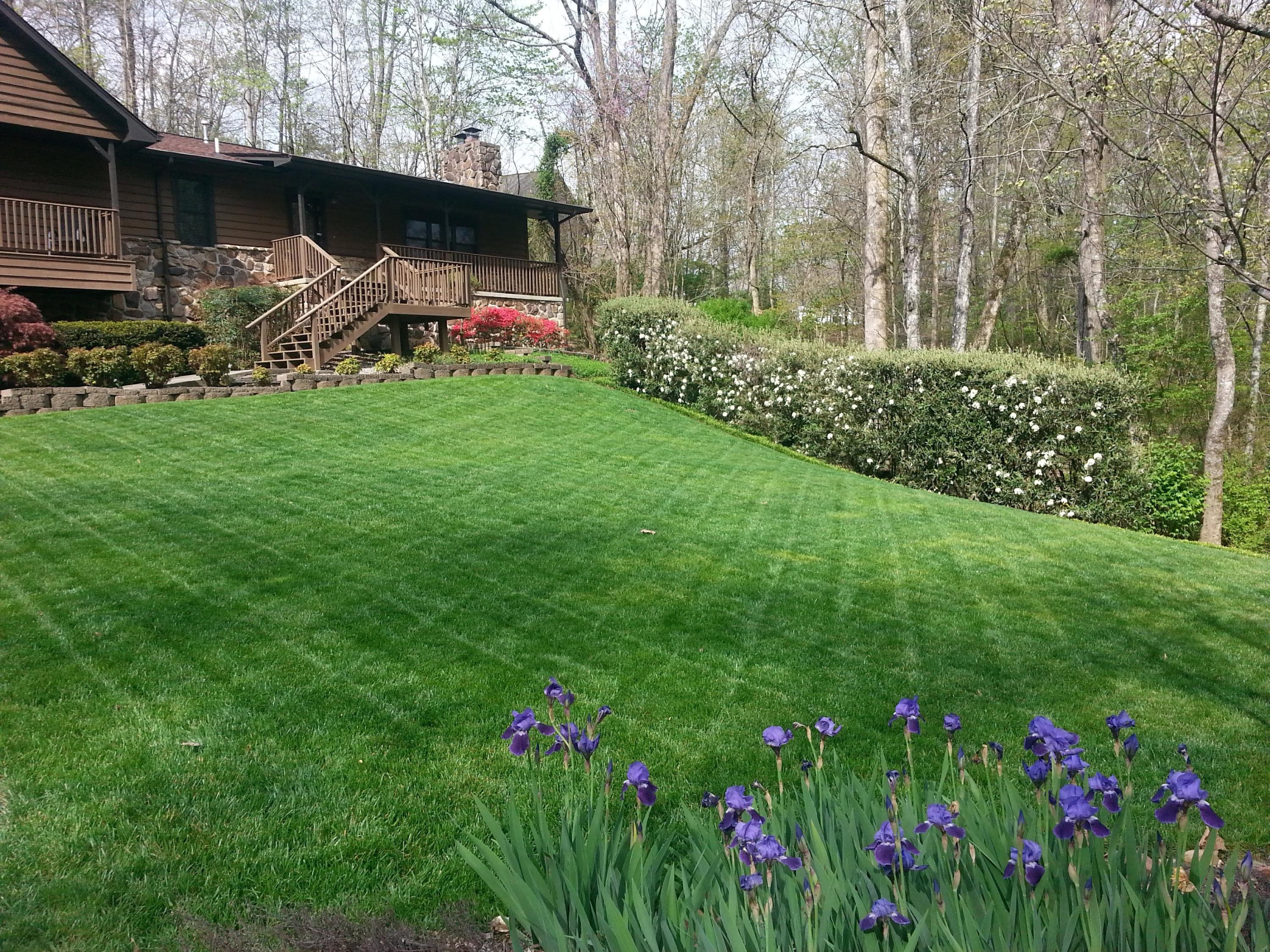 99 Chestnut Hill Road Oak Ridge, TN 37830 - Photo 27 of 27 Spring Blooms