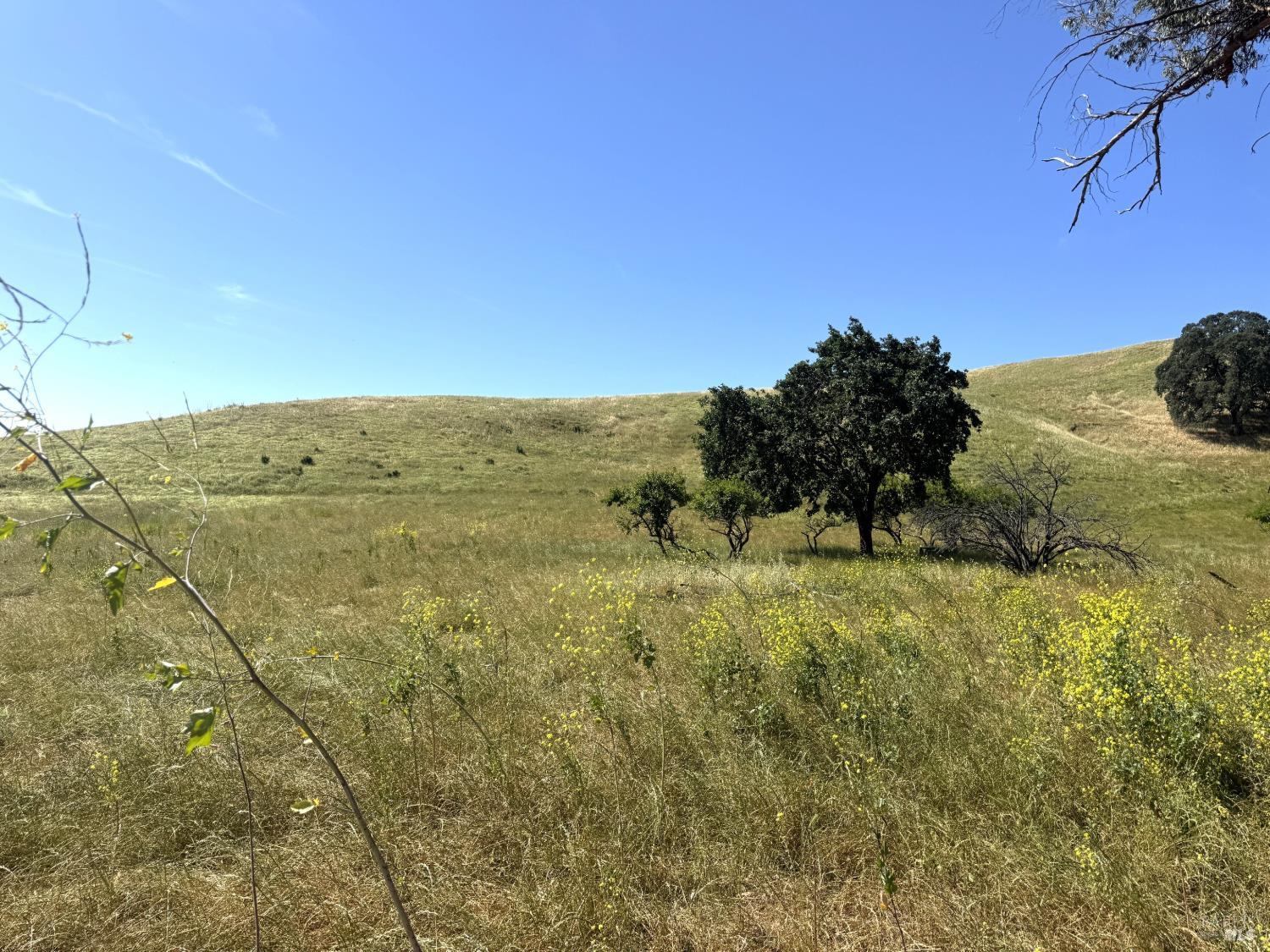 5275 Lyon Road Fairfield, CA 94534 - Photo 37 of 41