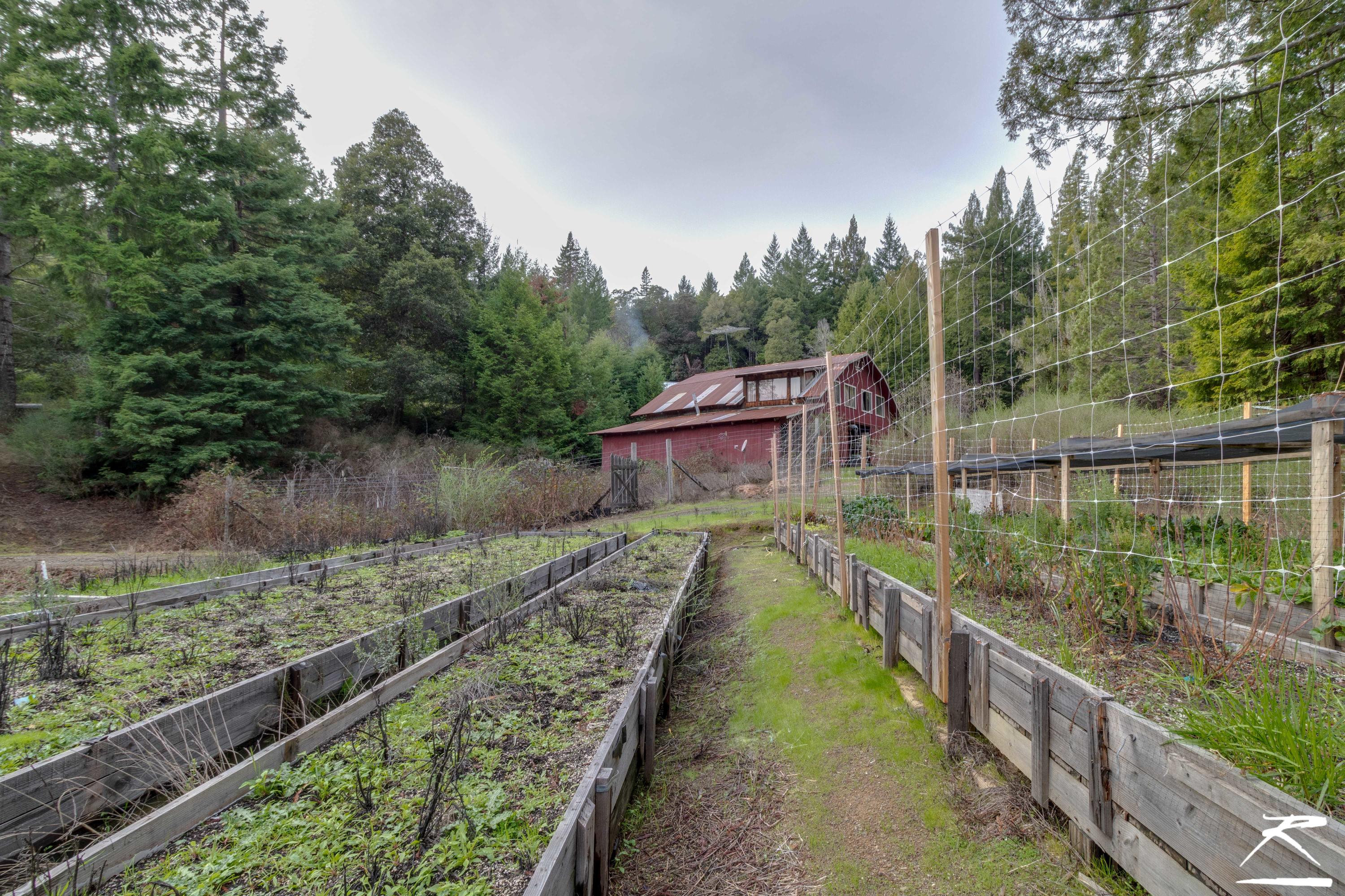 9675 Dyerville Loop Road Myers Flat, CA 95554 - Photo 17 of 30 9675-Dyerville-Loop-Road-Myers-Flat-CA-2