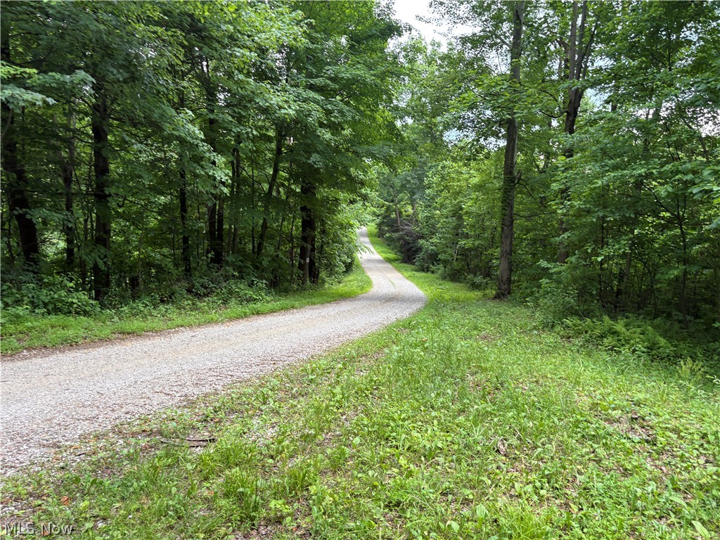 38532 Township Road Sardis, OH 43946 - Photo 13 of 15