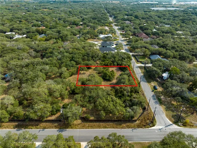 a view of a bunch of trees and bushes