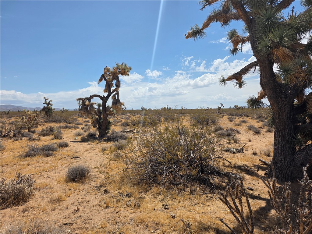 2328 South Tom Mix Road Yucca, AZ 86438 - Photo 14 of 17 a view of a yard