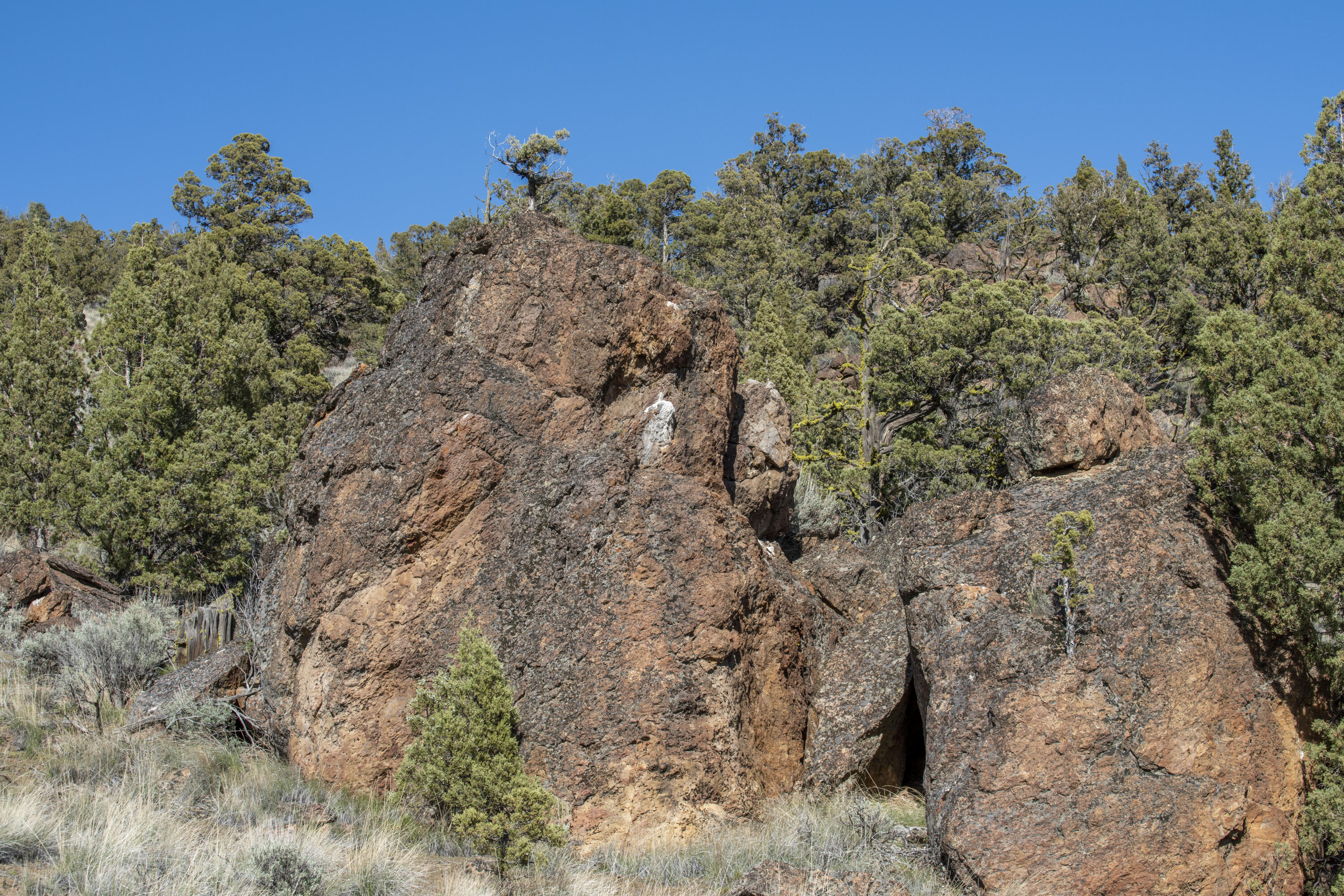 9983 Pavati Road Prineville, OR 97754 - Photo 12 of 29 DSC_0373