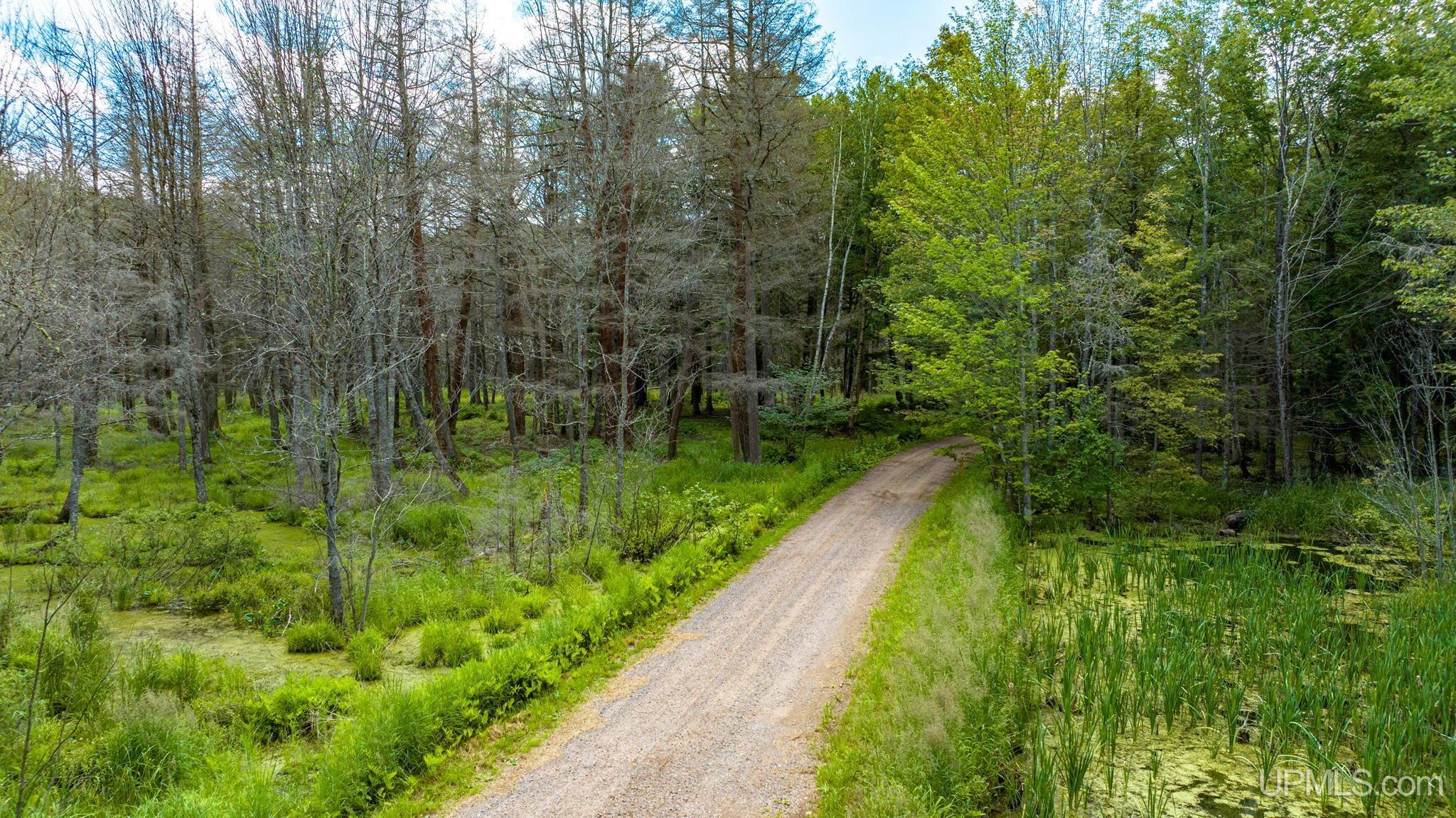 Tbd Tbd En-a-wen-da-win Road Watersmeet, MI 49969 - Photo 28 of 35