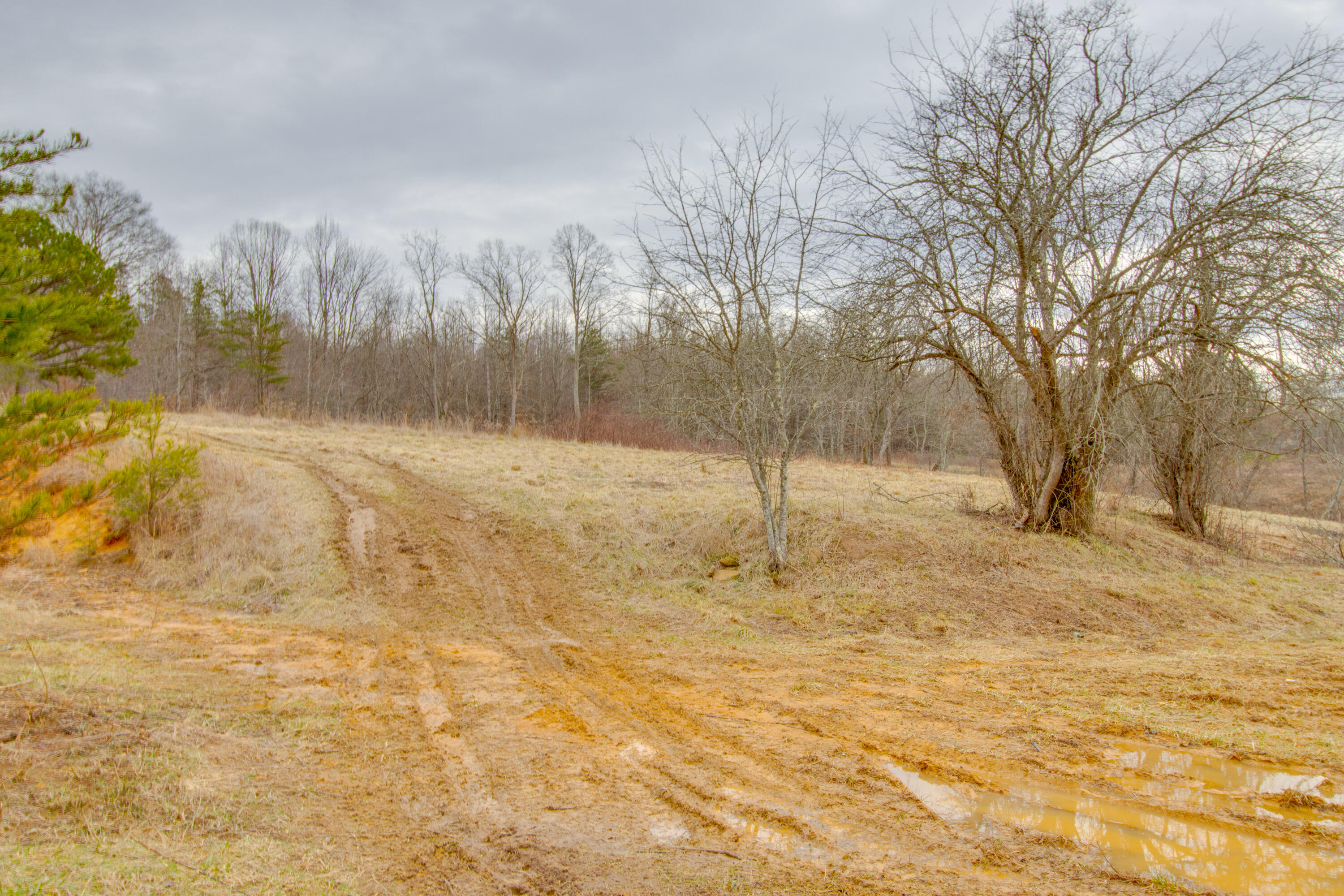 IMG_4326-HDR