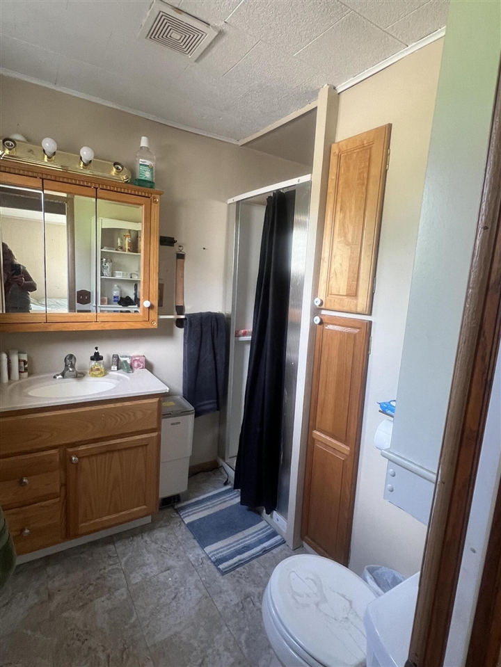228 West Forest Street Edmore, MI 48829 - Photo 8 of 14