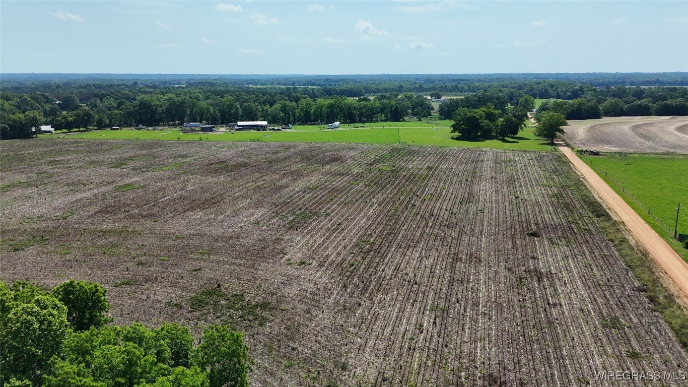 3799 Hogan Road Deatsville, AL 36022 - Photo 4 of 17 Gallery Image 4