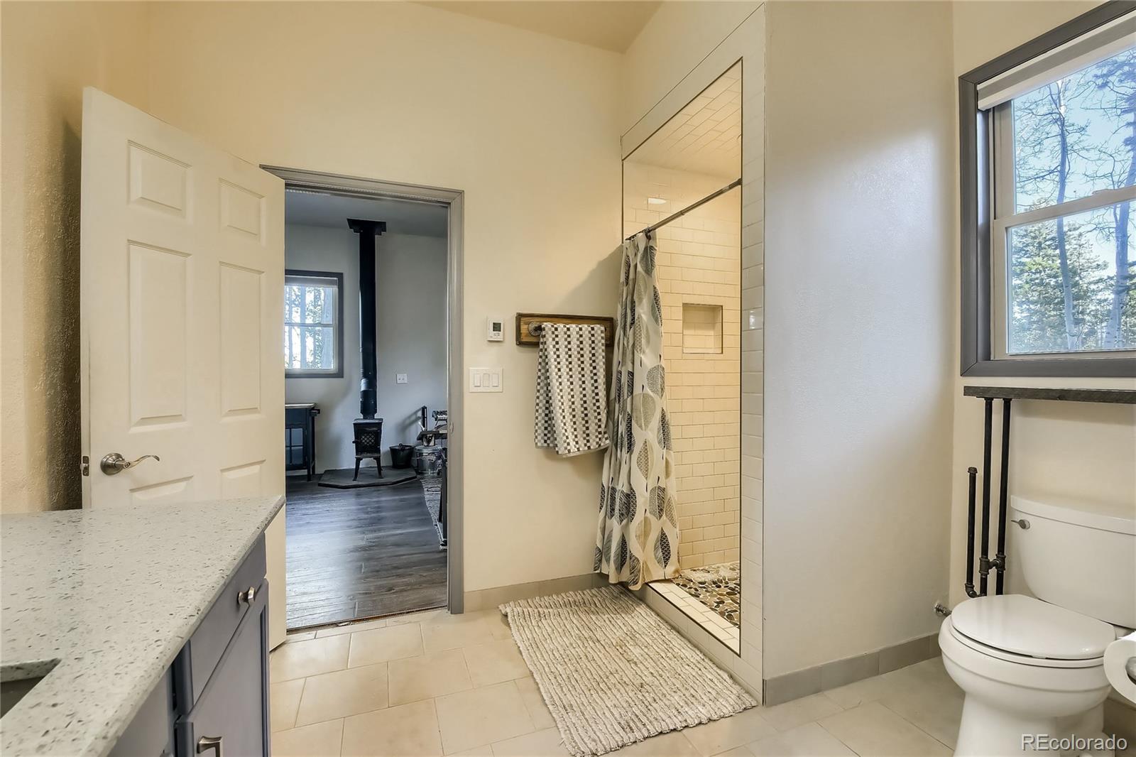 322 Brook Road Evergreen, CO 80439 - Photo 34 of 39 Gallery Image 34