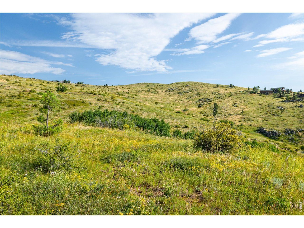 730 Lost Angel Road Boulder, CO 80302 - Photo 20 of 30