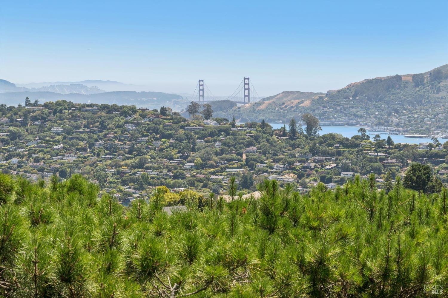 81 Mt Tiburon Road Belvedere Tiburon, CA 94920 - Photo 16 of 26