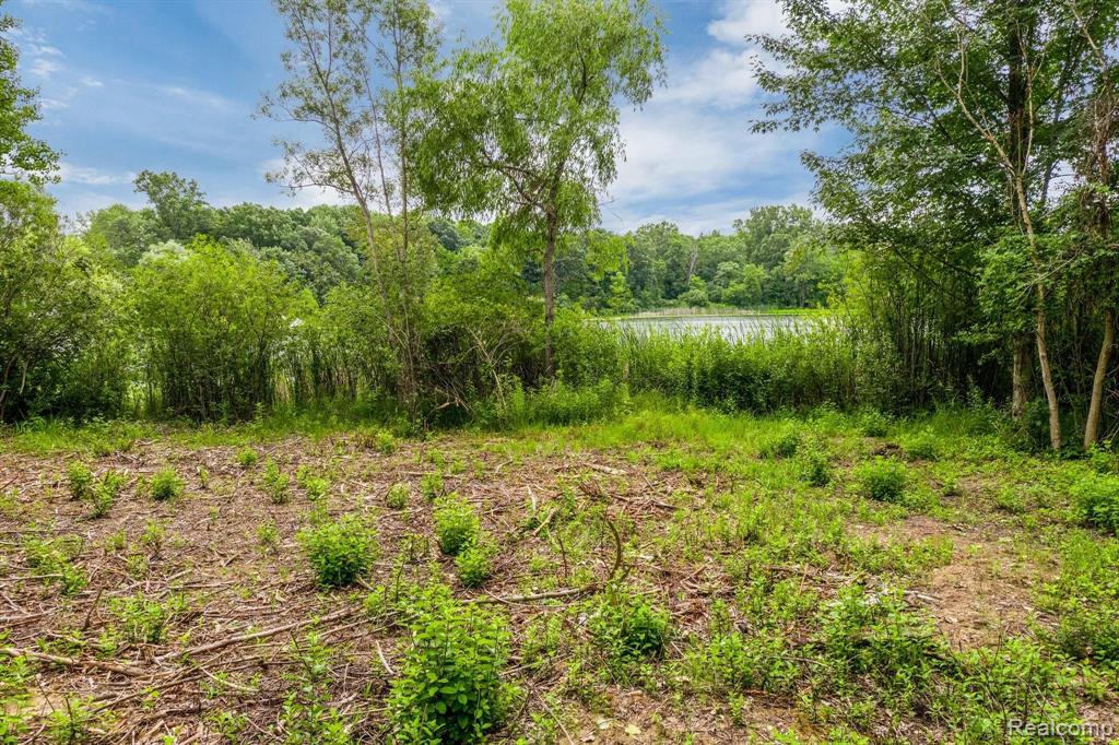 Lot Riviera Riviera Shores Drive Holly, MI 48442 - Photo 10 of 21