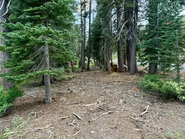 $39,000 | 0 Quaking Aspen Road, Arnold, CA 95223