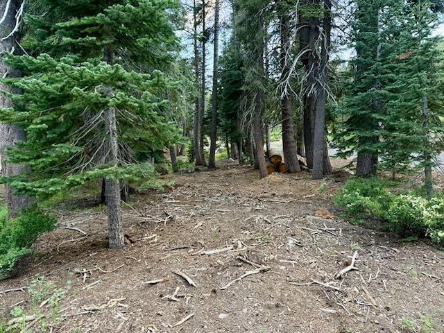 0 Quaking Aspen Road Arnold, CA 95223 - Photo 1 of 6