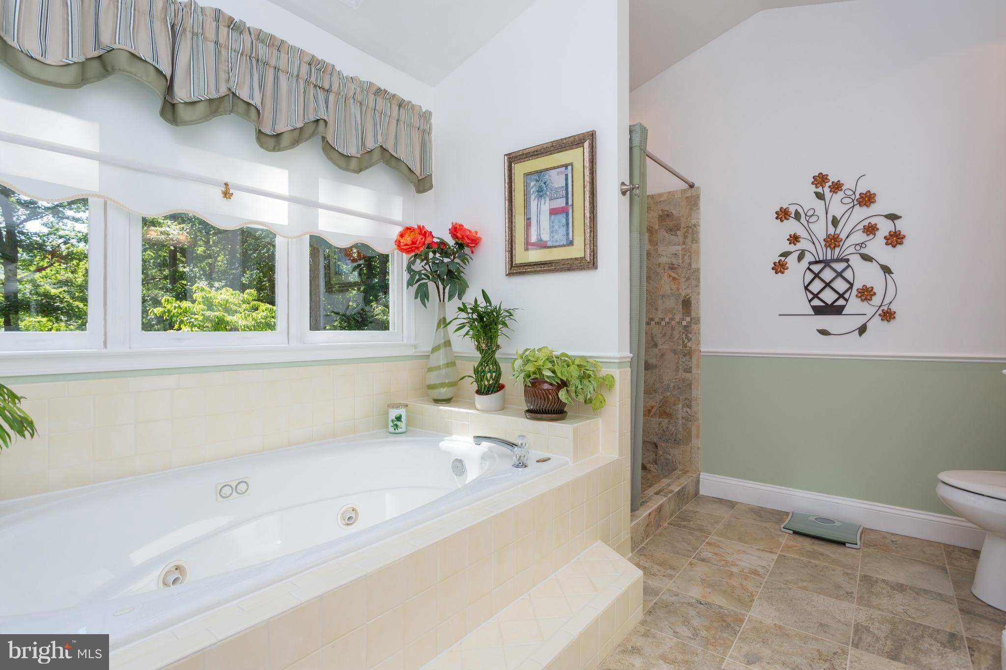 714 Gold Valley Road Locust Grove, VA 22508 - Photo 18 of 30 Perfect place to soak the day away!