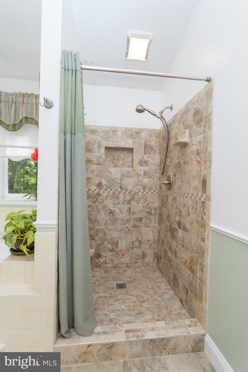 714 Gold Valley Road Locust Grove, VA 22508 - Photo 19 of 30 Amazing tiled shower