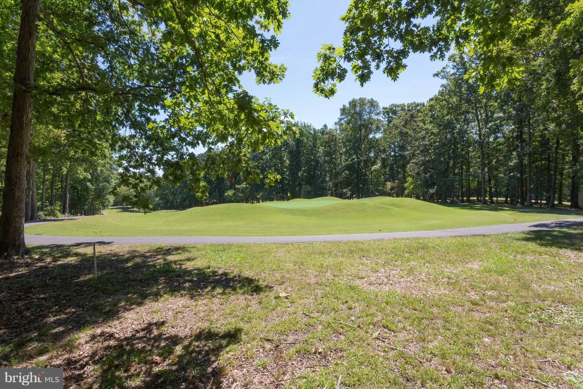 714 Gold Valley Road Locust Grove, VA 22508 - Photo 3 of 30 Ideally located on the 12th Hole!