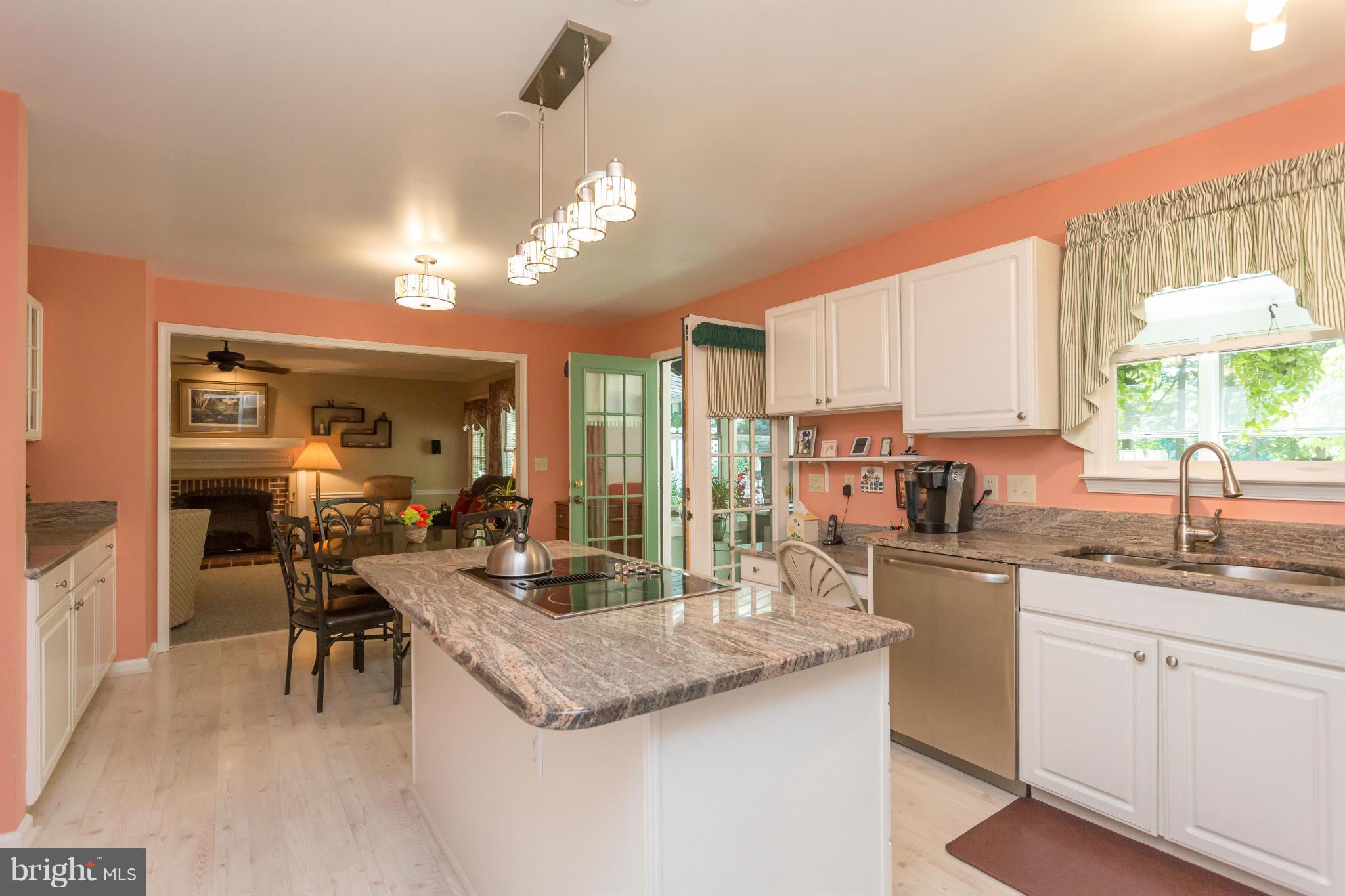 714 Gold Valley Road Locust Grove, VA 22508 - Photo 8 of 30 Stunning granite counters!