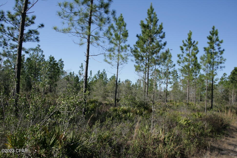 19732 Timbercrest Road Fountain, FL 32438 - Photo 29 of 40