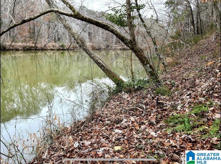 North Hagler Road, Unit 1 Northport, AL 35475 - Photo 3 of 12