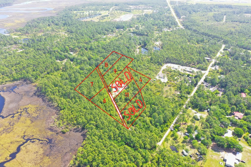 Lot 6 Cora Mae Road Carrabelle, FL 32322 - Photo 4 of 7
