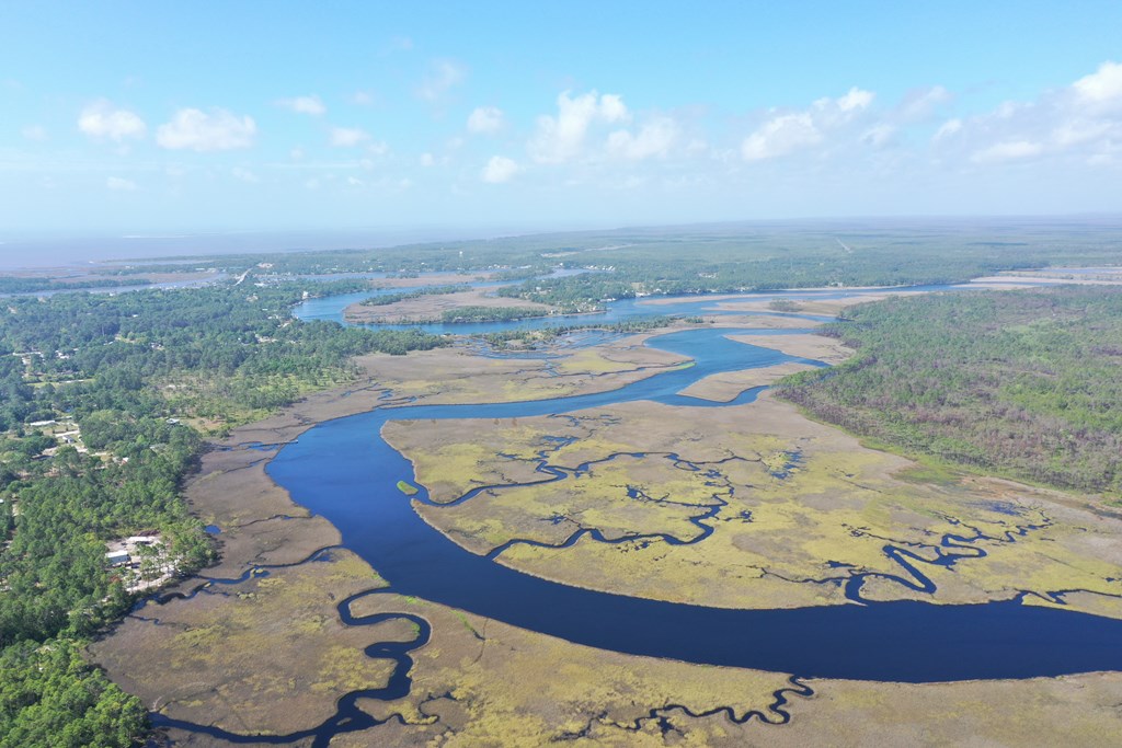 Lot 6 Cora Mae Road Carrabelle, FL 32322 - Photo 5 of 7