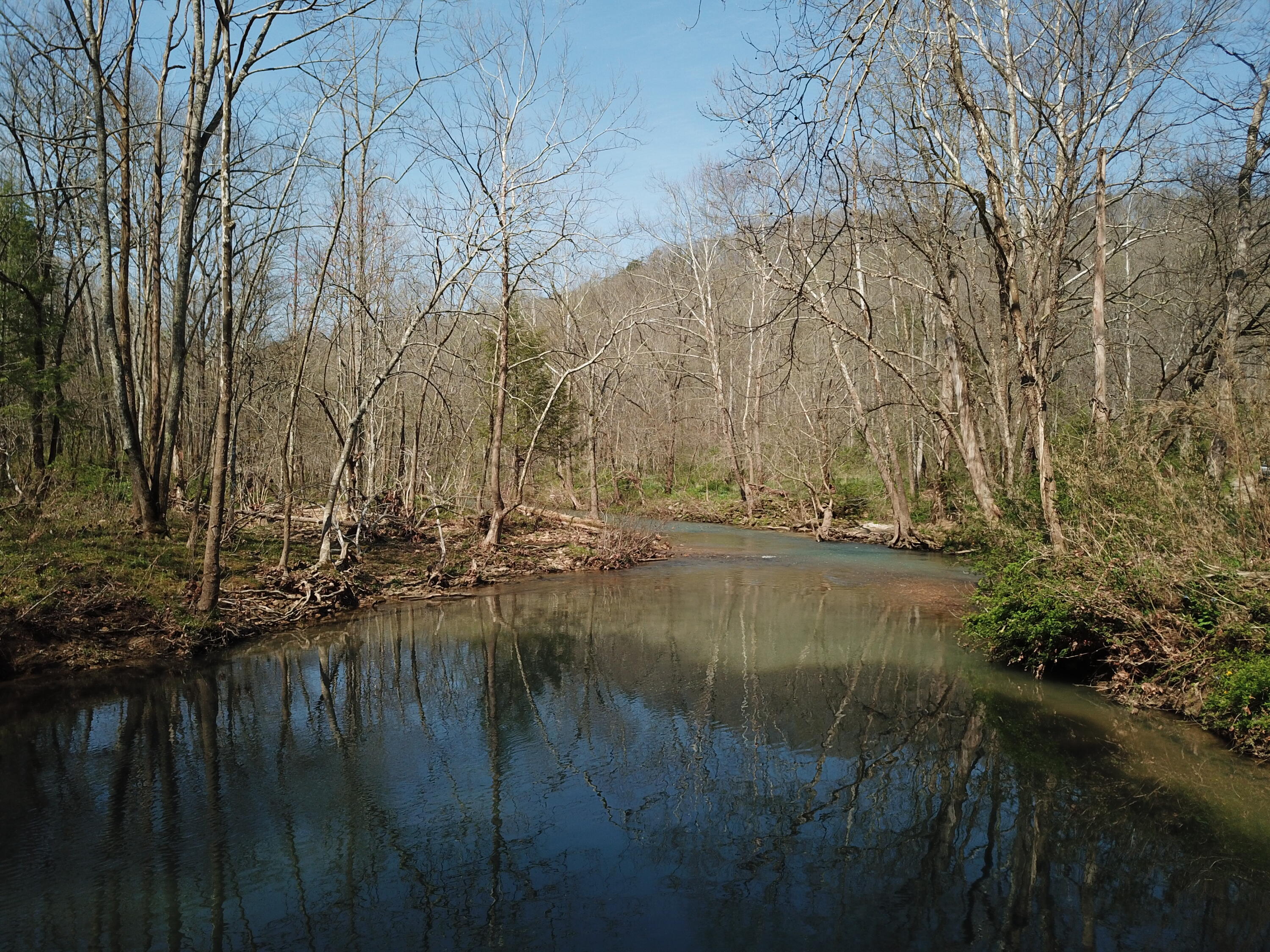 999 Raccoon Creek Road McKee, KY 40447 - Photo 6 of 22 34510D70C26037EF6EE48FED293F2226