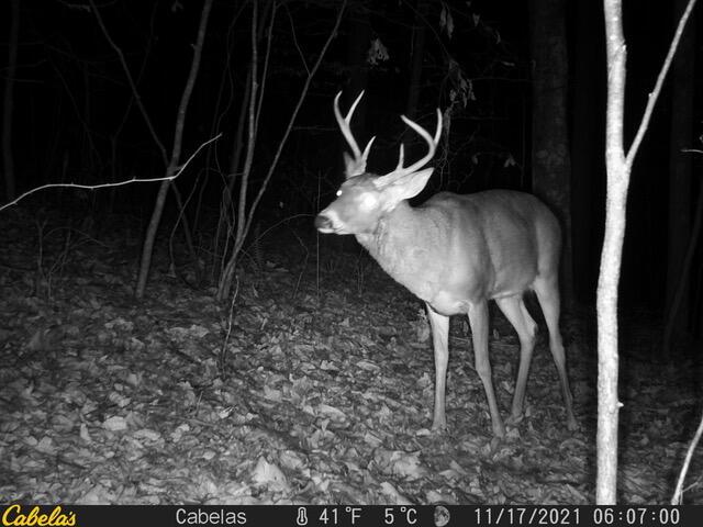 0 East Fork Road Laurelville, OH 43135 - Photo 5 of 16 11170302