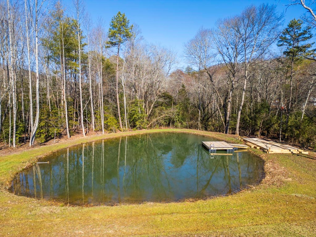 134 Colwell Church Road Epworth, GA 30541 - Photo 7 of 74