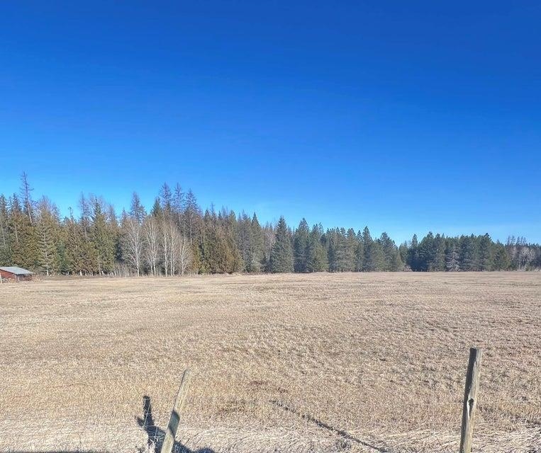 Nkn Flowery Trail Road Usk, WA 99180 - Photo 1 of 10