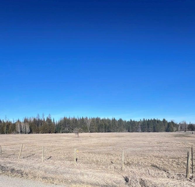 Nkn Flowery Trail Road Usk, WA 99180 - Photo 3 of 10