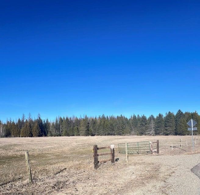 Nkn Flowery Trail Road Usk, WA 99180 - Photo 5 of 10