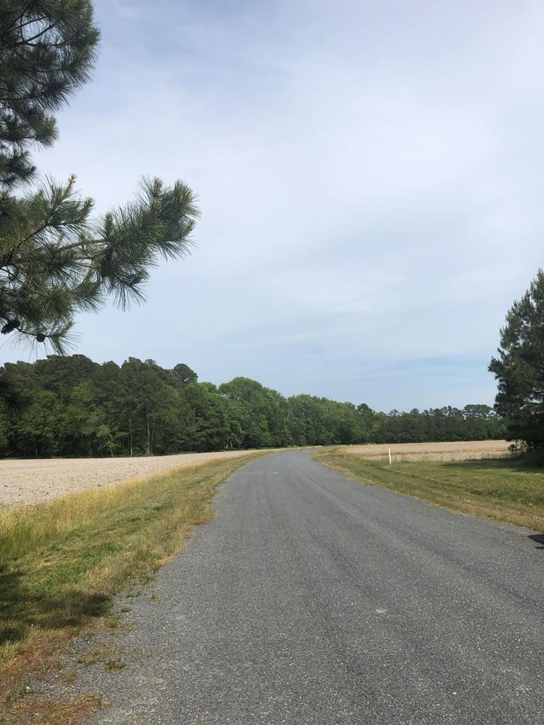 Lot 3 Green Landing Road, Unit 3 Onancock, VA 23417 - Photo 18 of 43